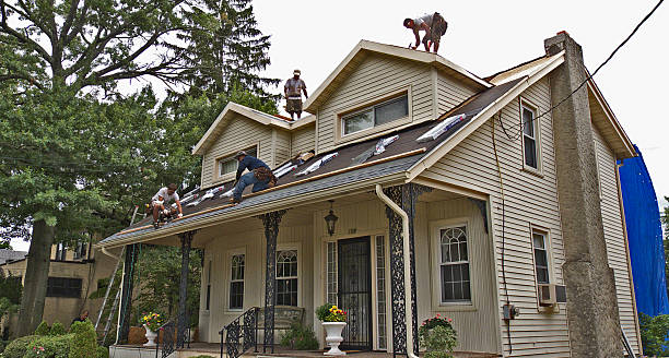Quick and Trustworthy Emergency Roof Repair Services in American Fork, UT